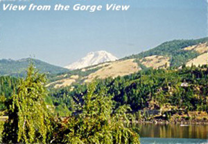 view from Gorge View